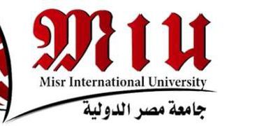 جامعة مصر الدولية