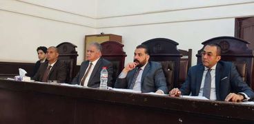 محكمة جنايات الفيوم برئاسة المستشار طلعت محمد قنديل
