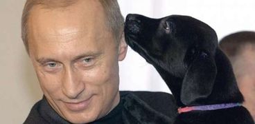 حكاية من قصر رئاسي| الكرملين.. مقر حكم روسي حوله "بوتين" لحديقة حيوان