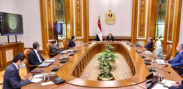 الرئيس عبدالفتاح السيسى خلال مناقشته منظومة التأمين الصحى الشامل مع مجموعة من الوزراء