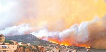حريق غابات بالجزائر-صورة أرشيفية