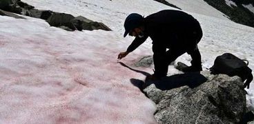 «الجليد الدامي».. ظاهرة غريبة تحول ثلوج جبال الألب للون الأحمر