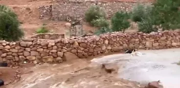 أمطار جنوب سيناء