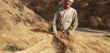 زراعة الكتان في مصر