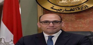 المستشار أحمد حافظ المتحدث الرسمي باسم وزارة الخارجية