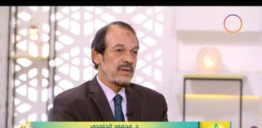 الدكتور محمود الحلوجي مدير المتاحف الإقليمية السابق