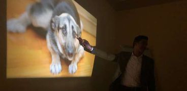 أكاديمية الحيوانات الأليفة والشرح على أحد الكلاب