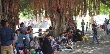 حدائق الإسكندرية كاملة العدد في ثاني أيام العيد