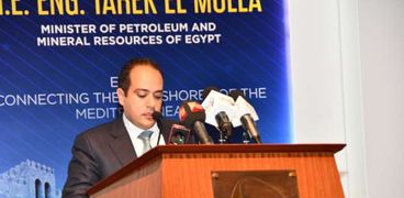 رئيس شركة «بى بى مصر» خلال إلقاء كلمته فى المؤتمر