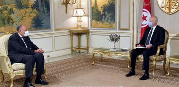 وزير الخارجية المصري سامح شكري خلال زيارته لتونس