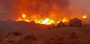 حريق محمية سالوجا وغزال
