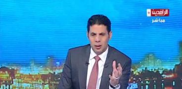 الدكتور سعيد حساسين عضو مجلس النواب