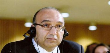 المندوب الدائم لمصر لدى الأمم المتحدة والمنظمات الدولية في جنيف-السفير عمرو رمضان