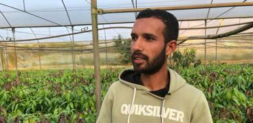 إبراهيم صالح - مزارع مانجو