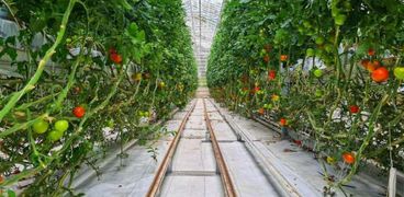 الزراعة الذكية أكثر إنتاجية وأخف ضرراً على البيئة