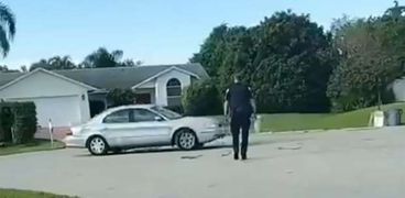 لقطة من مقطع فيديو التقطه أحد الجيران للسيارة التي قادها الكلب لمدة ساعة.