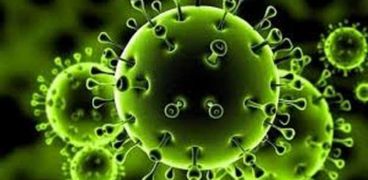 تفاصيل المسحة الشرجية لفيروس كورونا