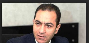 الدكتور هشام ابراهيم استاذ التمويل والاستثمار بجامعة القاهرة