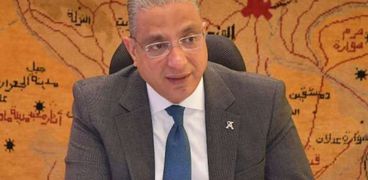 الدكتور أحمد الأنصاري محافظ الفيوم - أرشيفية
