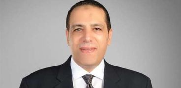 النائب الصافي عبد العال، عضو مجلس النواب