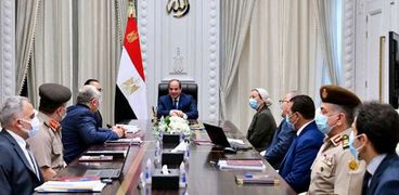 الرئيس السيسي خلال اجتماع متابعة تطوير البحيرات المصرية