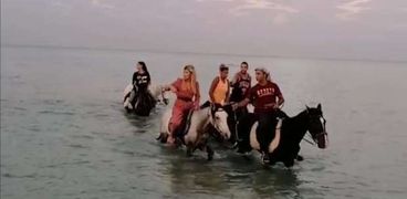 سياحة الخيول على شواطئ الغردقة