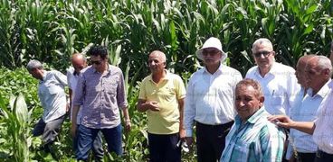 وفد من وزارة الزراعة يتفقد زراعات القطن والذرة ببني سويف