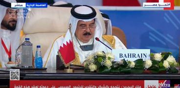 ملك البحرين حمد بن عيسى بن سلمان آل خليفة