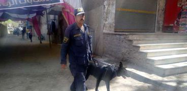 الكلاب البوليسية ورجال المفرقعات