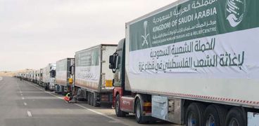 الحملة الشعبية السعودية لارسال المساعدات إلي غزة