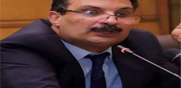 الدكتور سيد طه بدوي رئيس قسم المالية العامة بحقوق القاهرة، والخبير الاقتصادي