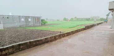 تساقط الأمطار على مناطق من الدلتا