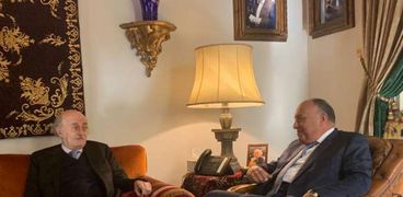 "وزير الخارجية"يلتقي وليد جنبلاط رئيس الحزب التقدمي الاشتراكي اللبناني