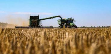 تصدير الحبوب الأوكرانية