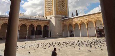 مساجد غزة في تونس