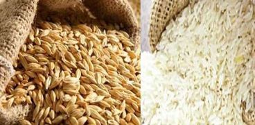 الأرز الأبيض والشعير - أرشيفية