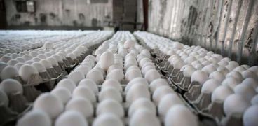 شنطة كروشيه لحماية البيض تثير جدلا واسعا «بـ1500 جنيه سعة 20 بيضة»