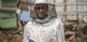 محمد هجرس، خبير تربية النحل