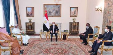 الرئيس السيسي خلال لقائه بأمين عام منظمة التعاون الإسلامي