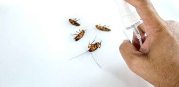 احذر 5 تصرفات جاذبة لحشرات الصيف