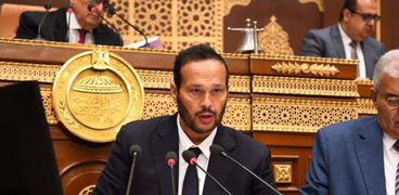 محمد حلاوة رئيس لجنة الصناعة والتجارة والصناعات الصغيرة والمتوسطة بمجلس الشيوخ