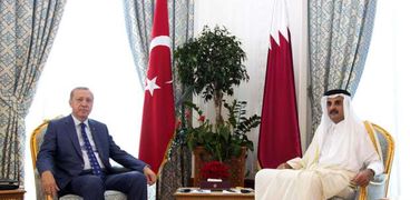 لقاء سابق يجمع «أردوغان» بـ«تميم»