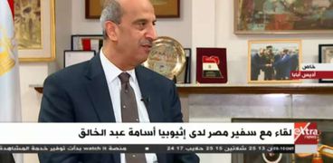 أسامة عبد الخالق سفير مصر لدى إثيوبيا