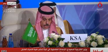 فيصل بن فرحان، وزير خارجية المملكة العربية السعودية