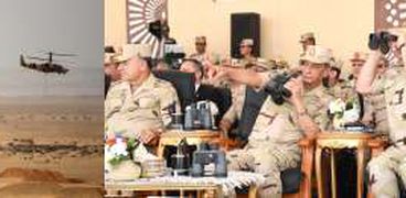 وزير الدفاع للمصريين من الجيش الثاني: «اطمئنوا»  (صور وفيديو)