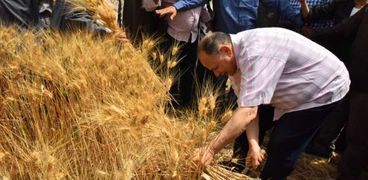 محافظ أسيوط يشارك المزارعين في حصاد القمح