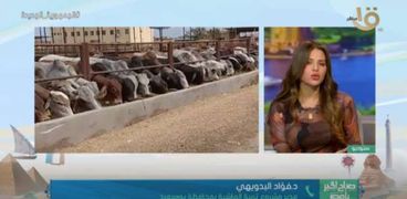 مداخلة هاتفية مع الدكتور فؤاد البدويهي مدير مشروع تربية الماشية بمحافظة بورسعيد