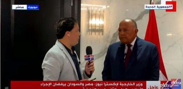 وزير الخارجية المصري سامح شكري