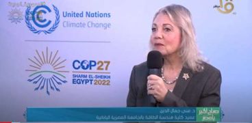 الدكتورة منى جمال الدين عميد كلية الطاقة والبيئة بالجامعة اليابانية المصرية