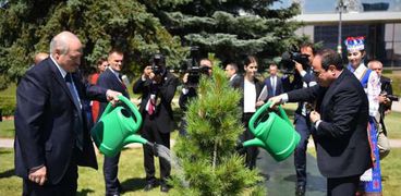 الرئيس السيسى يشارك الرئيس البيلاروسى  زرع شجرة الصداقة